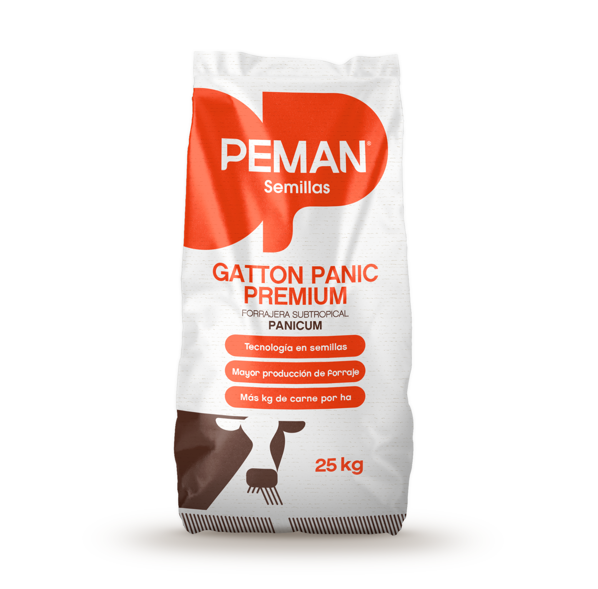 Panicum Maximum Gatton Panic Premium